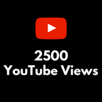 buy 2500 yt views