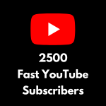 2500 Fast YouTube Subscribers