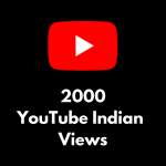 Buy 2000 YouTube indian views