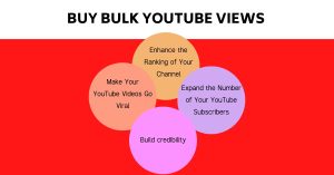 Buy Bulk Youtube Views