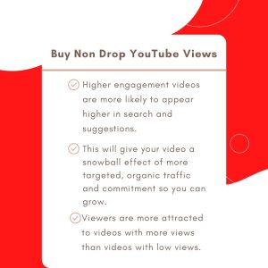 Buy Non Drop YouTube Views