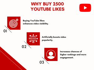 A red graphic with the text "2500 YOUTUBE LIKES" and a progress bar showing 100% completion. Below the text are four features listed: 100% Legit, 100% Authentic, Increasing video ranking, and 24X7 Support.