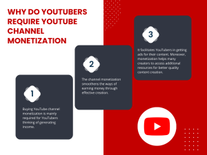 Infographic with the text "Why YouTubers Need Channel Monetization" at the top.