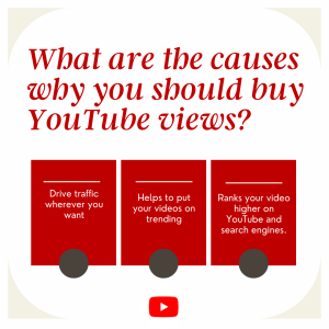 Chart about reasons to buy YouTube views.