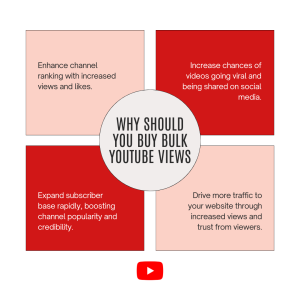 Chart showing reasons to buy bulk YouTube views.
