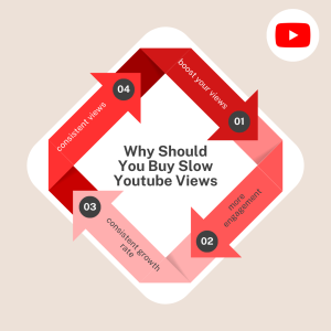This diagram is an advertisement for a service that sells slow YouTube views.
