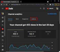 Can YouTubers See Who Viewed Their Videos - Understanding YouTube Analytics