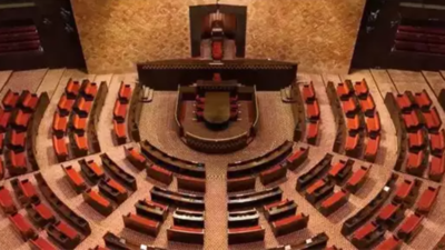Digital marketing strategies influencing voter behavior in the Indian Rajya Sabha Elections 2025.