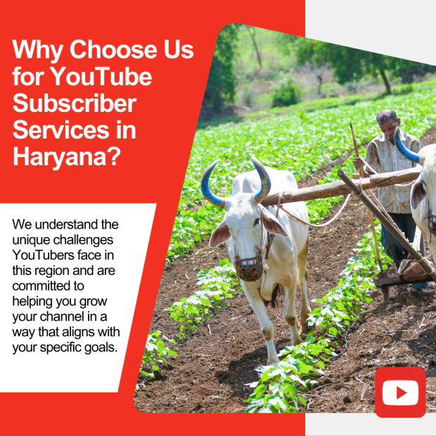 Why Choose Us for YouTube Subscriber Services in Haryana On the left, bold red and white sections display the text, "Why Choose Us for YouTube Subscriber Services in Haryana?".