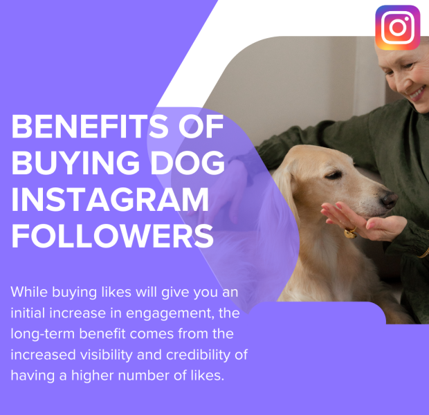 Benefits of Buying Dog Instagram Followers The post highlights the benefits of buying followers for dog-related Instagram profiles, emphasizing engagement and visibility.