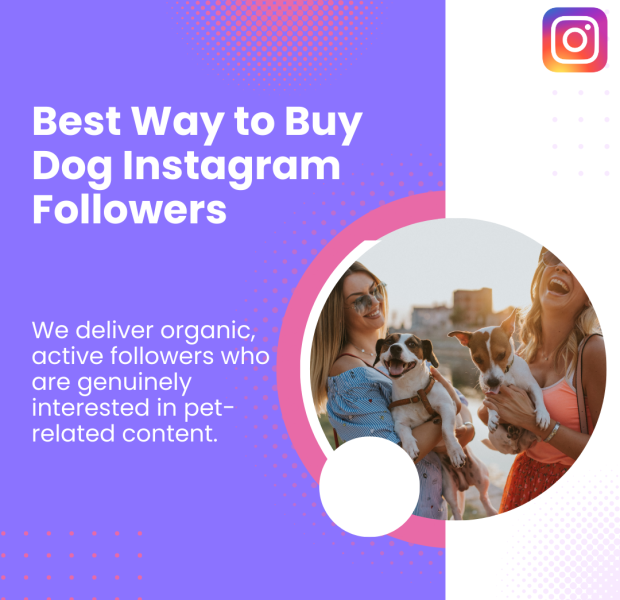 Best Way to Buy Dog Instagram Followers The post provides information on the best way to buy dog-related Instagram followers.