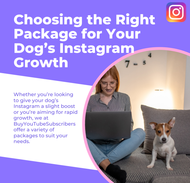 Choosing the Right Package for Your Dogâs Instagram Growth The post discusses choosing the right package for growing a dogâs Instagram account.