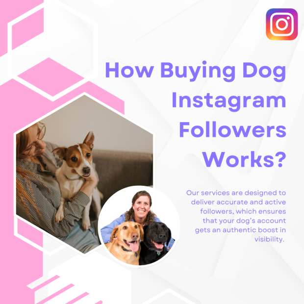 How Buying Dog Instagram Followers Works The post explains how buying dog Instagram followers works.