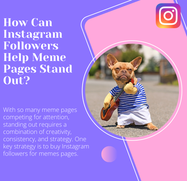 How Can Instagram Followers Help Meme Pages Stand Out A promotional graphic with the headline "How Can Instagram Followers Help Meme Pages Stand Out?" in bold white text on a purple background with pink accents.