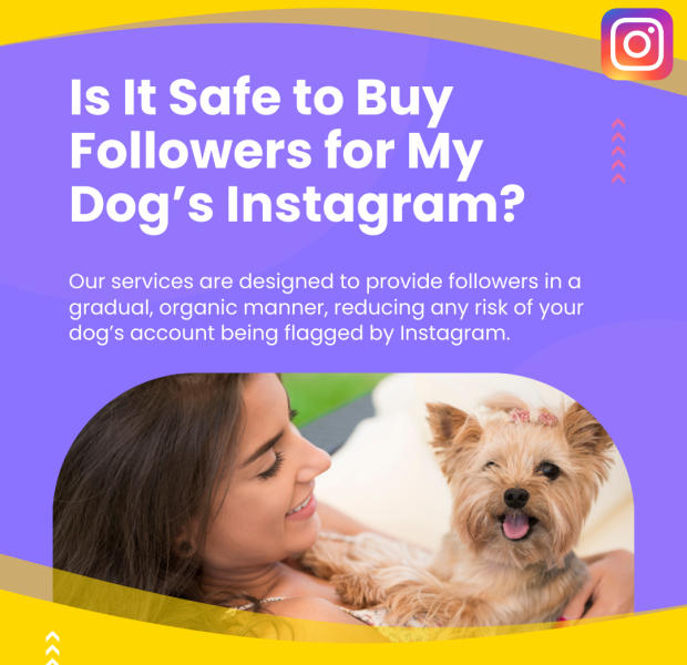 Is It Safe to Buy Followers for My Dogâs Instagram The post discusses the safety of buying followers for a dogâs Instagram account.