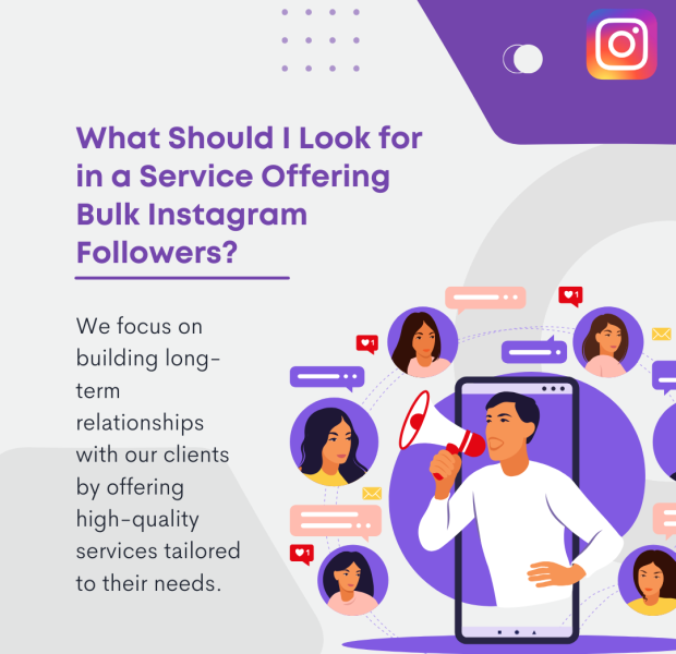 What Should I Look for in a Service Offering Bulk Instagram Followers The bold purple text reads, "What Should I Look for in a Service Offering Bulk Instagram Followers?"