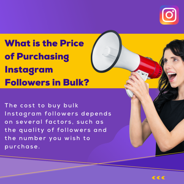 What is the Price of Purchasing Instagram Followers in Bulk The bold black text on a yellow background reads, "What is the Price of Purchasing Instagram Followers in Bulk?".