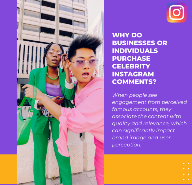 Why Do Businesses or Individuals Purchase Celebrity Instagram Comments The text on a purple background reads, "Why Do Businesses or Individuals Purchase Celebrity Instagram Comments?".
