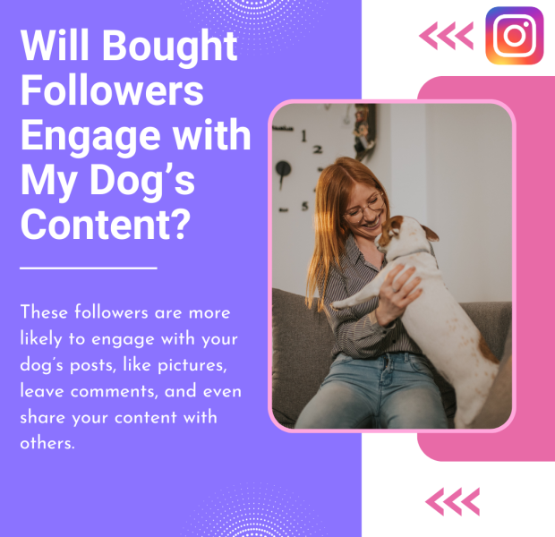 Will Bought Followers Engage with My Dogâs Content The post, with a purple and pink layout, discusses whether bought followers will engage with dog-related content.